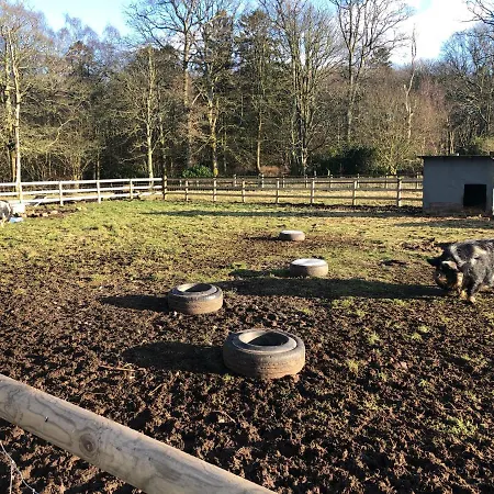 埃尔顿厅酒店 酒店