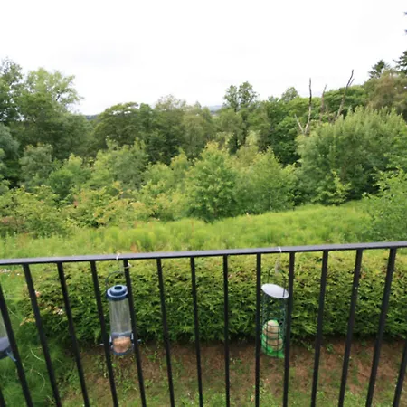 埃尔顿厅酒店 酒店